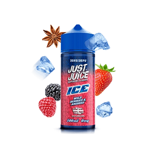 Just Juice Wild Berries Aniseed 100ml